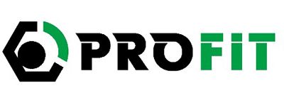 Комплект подшипника ступицы колеса PROFIT 2501-3946